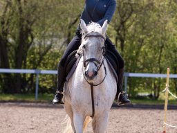 IMG_1827_web